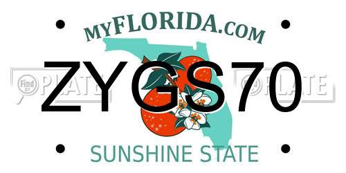 ZYGS70 Florida License Plate