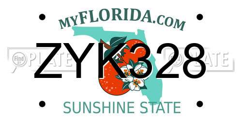 ZYK328 Florida License Plate