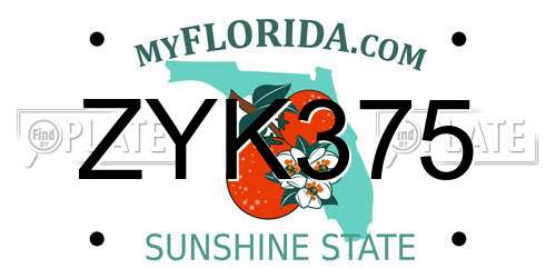 ZYK375 Florida License Plate
