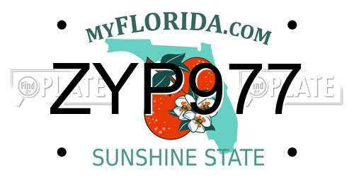 ZYP977 Florida License Plate