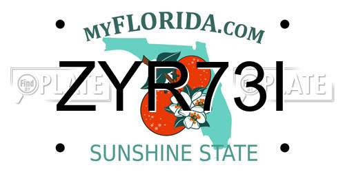 ZYR73I Florida License Plate