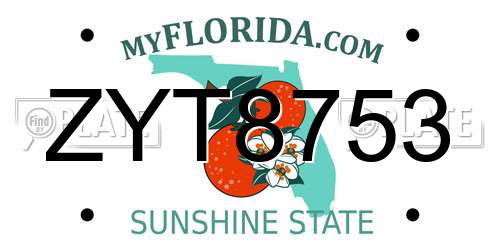 ZYT8753 Florida License Plate