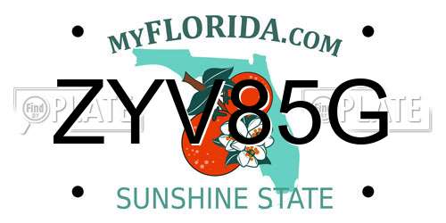 ZYV85G Florida License Plate