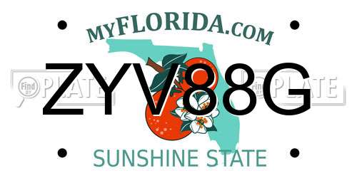 ZYV88G Florida License Plate