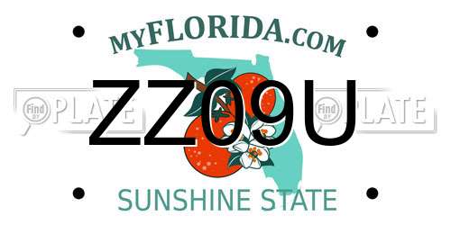 ZZ09U Florida License Plate