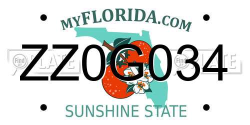 ZZ0G034 Florida License Plate