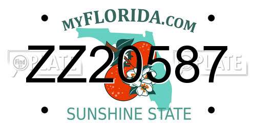 ZZ20587 Florida License Plate