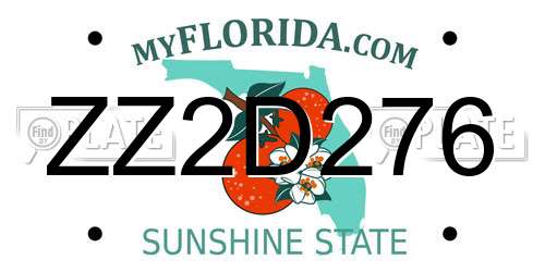 ZZ2D276 Florida License Plate