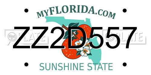 ZZ2D557 Florida License Plate
