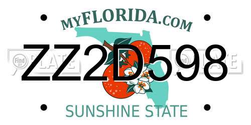 ZZ2D598 Florida License Plate