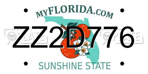 ZZ2D776 Florida License Plate