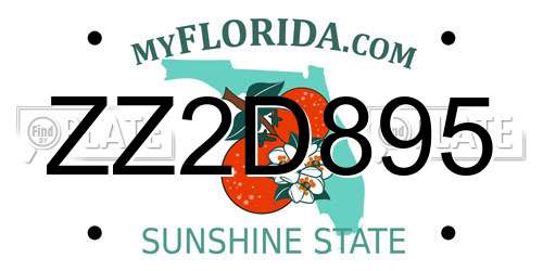 ZZ2D895 Florida License Plate