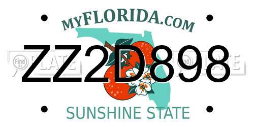 ZZ2D898 Florida License Plate