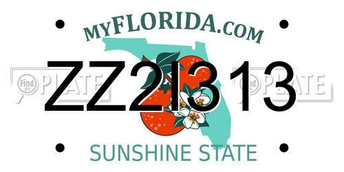 ZZ2I313 Florida License Plate
