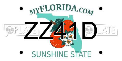 ZZ41D Florida License Plate