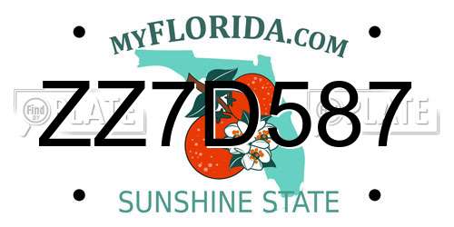 ZZ7D587 Florida License Plate