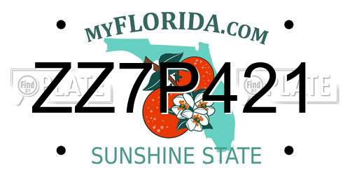 ZZ7P421 Florida License Plate