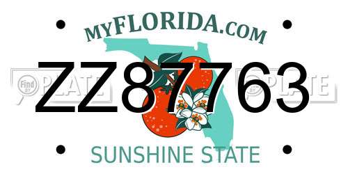 ZZ87763 Florida License Plate