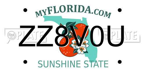 ZZ8V0U Florida License Plate