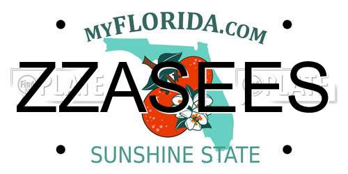 ZZASEES Florida License Plate