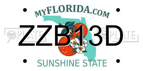 ZZB13D Florida License Plate