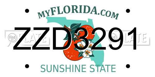 ZZD3291 Florida License Plate