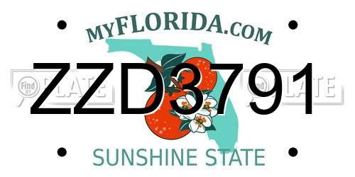 ZZD3791 Florida License Plate
