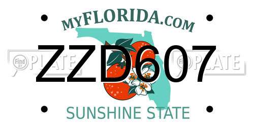 ZZD607 Florida License Plate