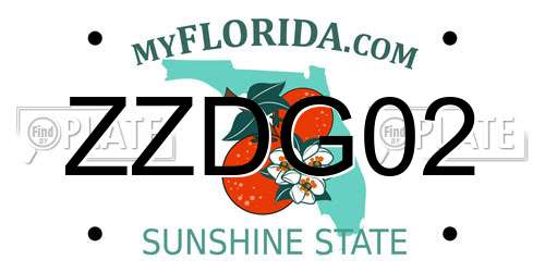 ZZDG02 Florida License Plate