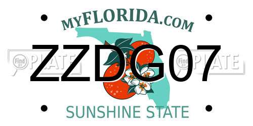 ZZDG07 Florida License Plate