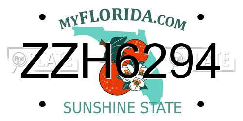 ZZH6294 Florida License Plate