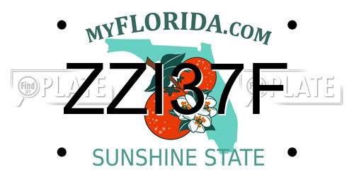 ZZI37F Florida License Plate