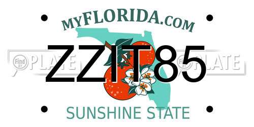 ZZIT85 Florida License Plate