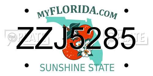 ZZJ5285 Florida License Plate