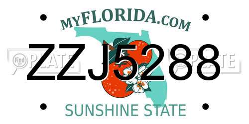ZZJ5288 Florida License Plate