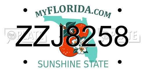 ZZJ8258 Florida License Plate