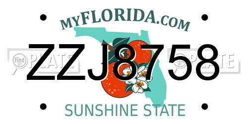 ZZJ8758 Florida License Plate