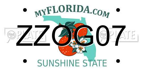 ZZOG07 Florida License Plate