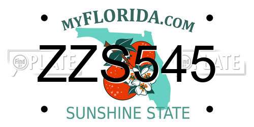 ZZS545 Florida License Plate