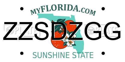 ZZSDZGG Florida License Plate