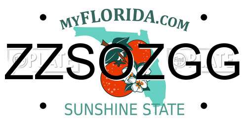 ZZSOZGG Florida License Plate