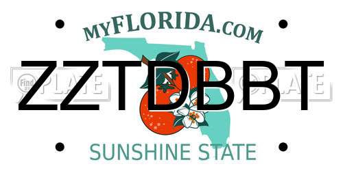 ZZTDBBT Florida License Plate