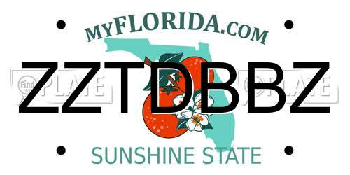 ZZTDBBZ Florida License Plate