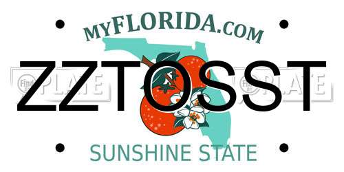 ZZTOSST Florida License Plate