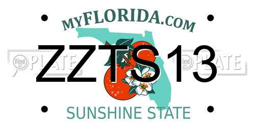 ZZTS13 Florida License Plate