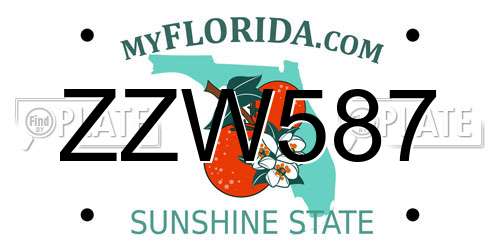 ZZW587 Florida License Plate