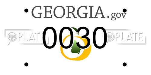 0030 Georgia License Plate