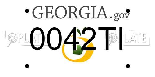 0042TI Georgia License Plate