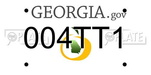 004TT1 Georgia License Plate