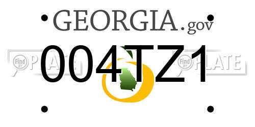 004TZ1 Georgia License Plate